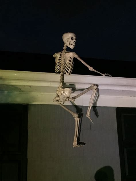 Crazy Bonez Funny Skeleton Weird Images Mood Pics