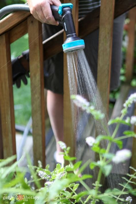Mindful Garden Watering Balancing Water Use And Conservation Garden
