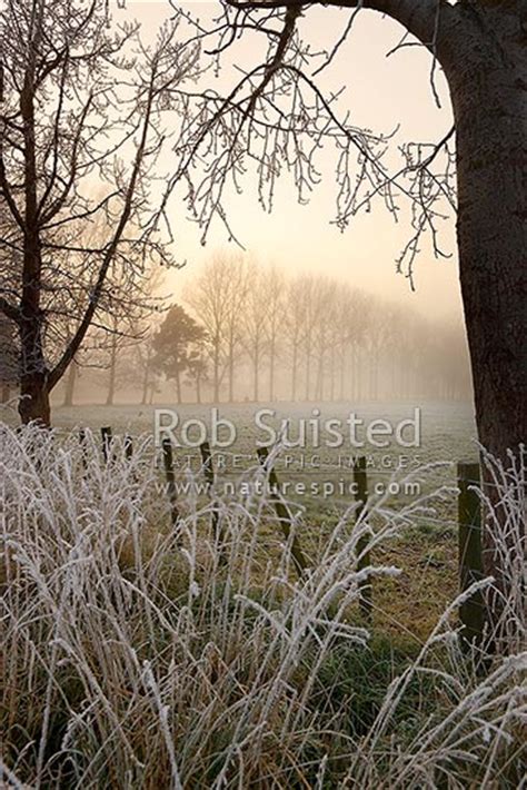 Hoar Frost Covering Trees Pasture And Fence On Frosty Wintery Morning