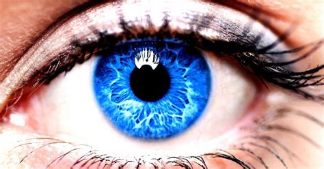 Ahora Sé Todas Las Personas De Ojos Azules Proceden De Un Mismo Ancestro