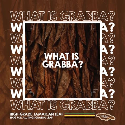 What Is Grabba Blog For All Things Grabba Leaf