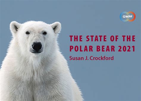 State Of The Polar Bear 2021 Polar Bears Continued To Thrive