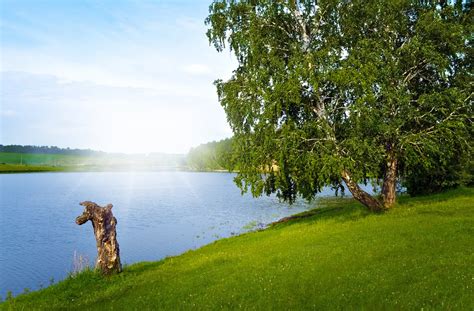 Summer Landscape Free Stock Photo Public Domain Pictures