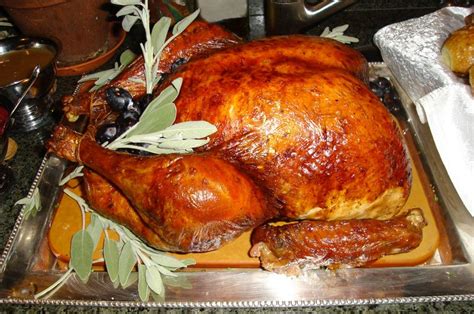 free range roasted turkeys all natural and organic free range roasted turkey christmas and
