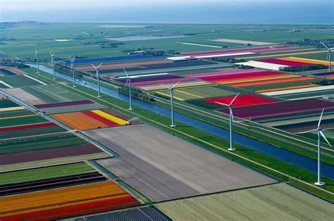 Tulips Of Holland Tulip Fields Tulip Fields Netherlands Aerial