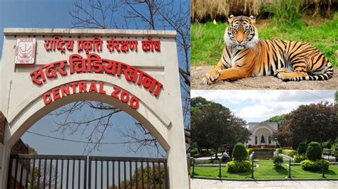 Kathmandu Zoo Kathmandu Zoo Park Jawalakhel Zoo Kathmandu Nepal