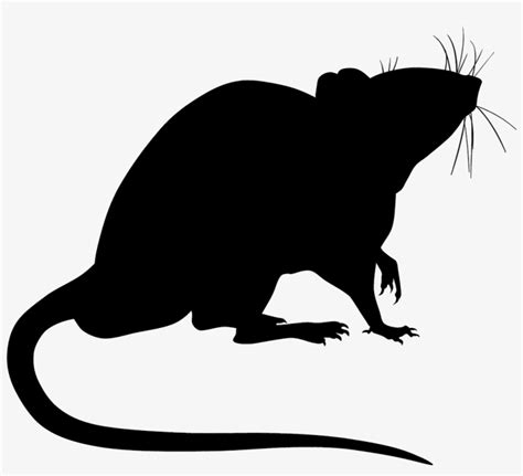 Rat Silhouette Png 10 Free Cliparts Download Images On Clipground 2023