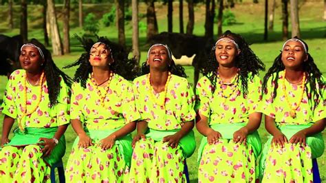 New Afan Oromo Music 2015 Dammitu Gabbitaa Dhiigni Keenya Tokko