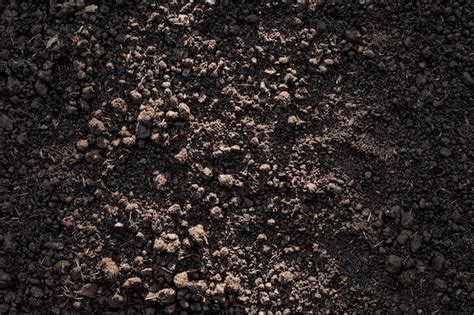 Premium Photo Fertile Loam Soil Suitable For Planting Soil Texture