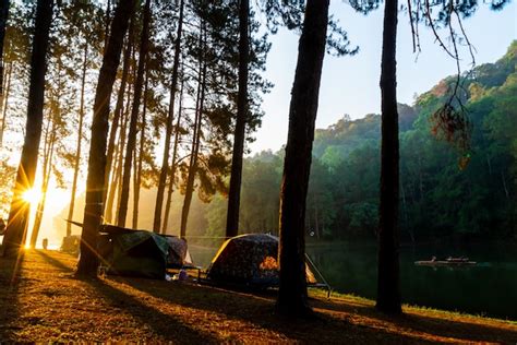 Premium Photo Pang Oung Lake And Pine Forest With Sunrise In Mae Hong