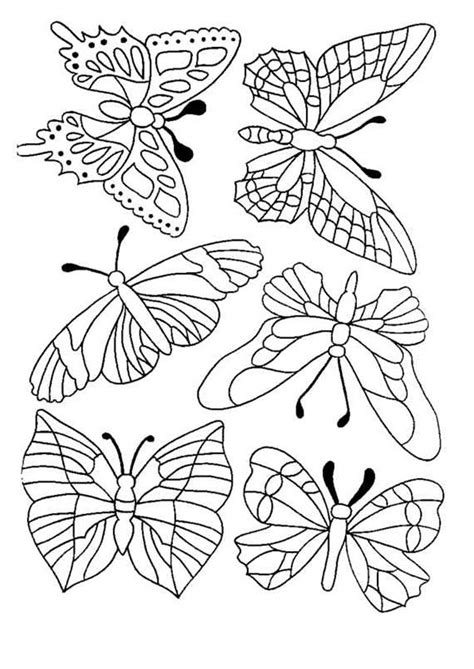 Les Meilleures Images Du Tableau Coloriage De Papillons Et Autres