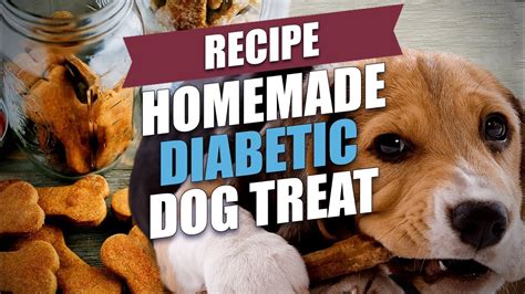 Homemade Diabetic Dog Treats Bios Pics