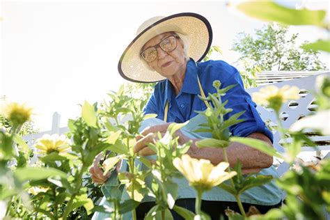 The Surprising Benefits Of Gardening Activities For Seniors