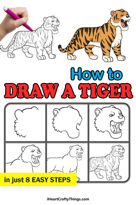 Tiger Drawing How To Draw A Tiger Step By Step