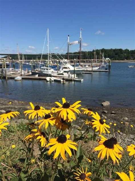 Welcome back to all the little things we've missed. Belfast Breeze Inn, ME - Booking.com | Belfast, Maine, Canal