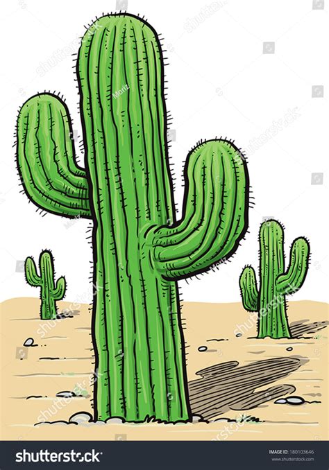 Vektor Stok Draw Cactus Desert Tanpa Royalti 180103646 Shutterstock