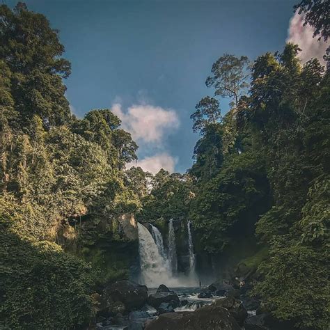 5 Provinsi Dengan Kawasan Hutan Terluas Di Indonesia Kaya Oksigen
