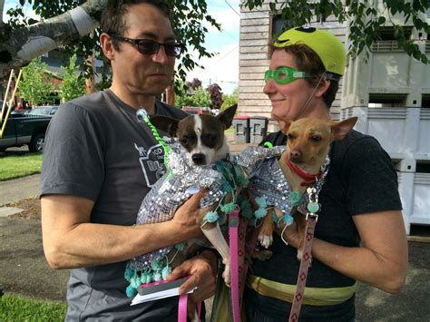 Dog Party Mcminnville Ufo Festival Pet Costume Contest