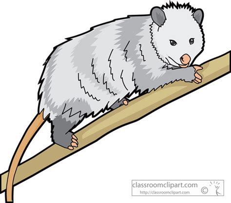 Mammal Clipart Clipart Opossum726 Classroom Clipart