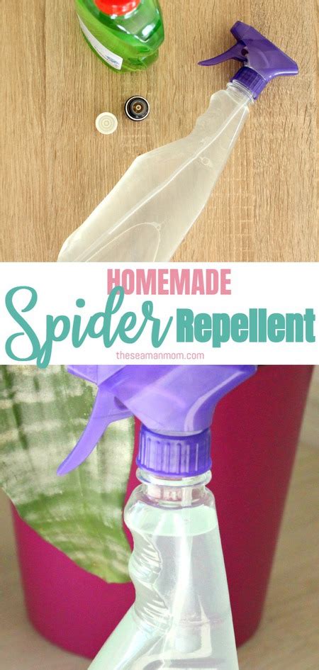 Homemade Spider Repellent Craftfoxes
