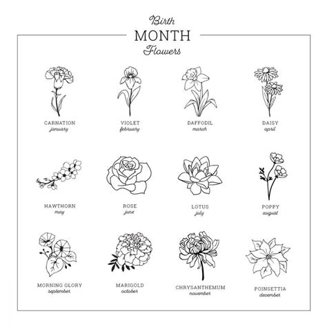 Birth Month Flowers Chart Edible Flower Chart Flower Food Edible