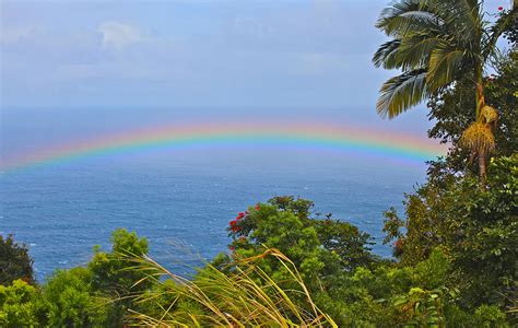 Hawaiian Rainbow Photograph By Venetia Featherstone Witty