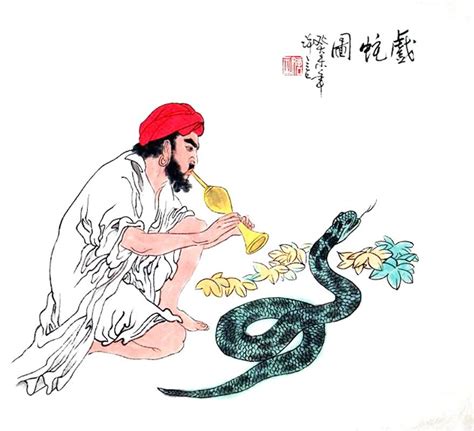 Chinese Snake Painting 0 4503002 50cm X 55cm19〃 X 22〃