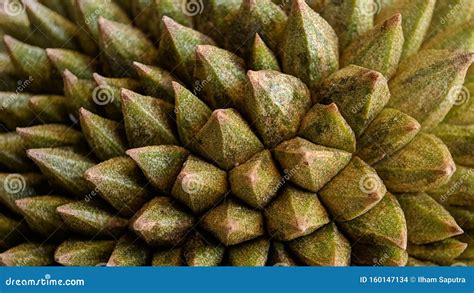 Abstract Pattern Durian Thorn Texture Background Stock Photo Image Of