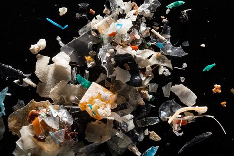The Effects Of Microplastics On Organisms In Coastal Areas Sciglow
