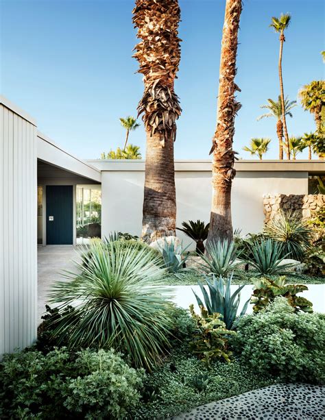Palm Springs Residence Desert Landscaping Backyard Front Yard Plants