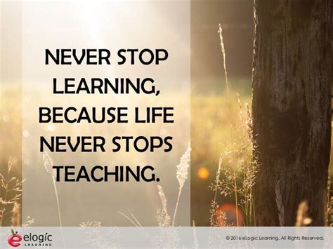 17 Top Motivational Learning Quotes