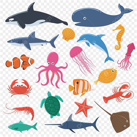 Conjunto De Animales Del Mar Png Dibujos Clipart De Animales Animal