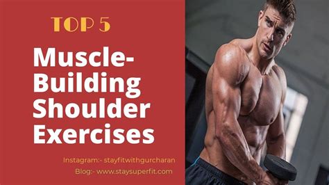 Best Shoulder Workout Exercises Of All The Time Best Shoulder Workout