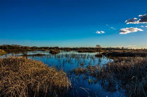 Wallpaper Sky Nature Reflection Water Wetland Ecosystem