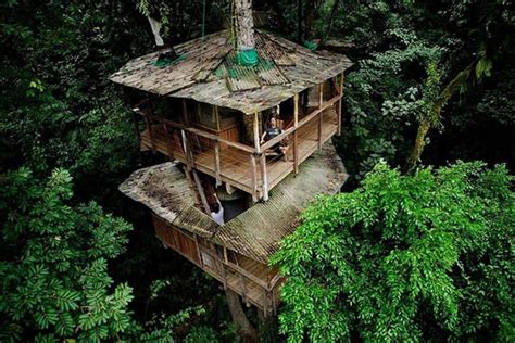 17 Of The Most Amazing Tree Houses In The World