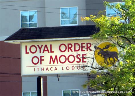 This web site is for informational purposes with proprietary information intended for members only. Keeping Up With The Parental Units: Loyal Order of Moose
