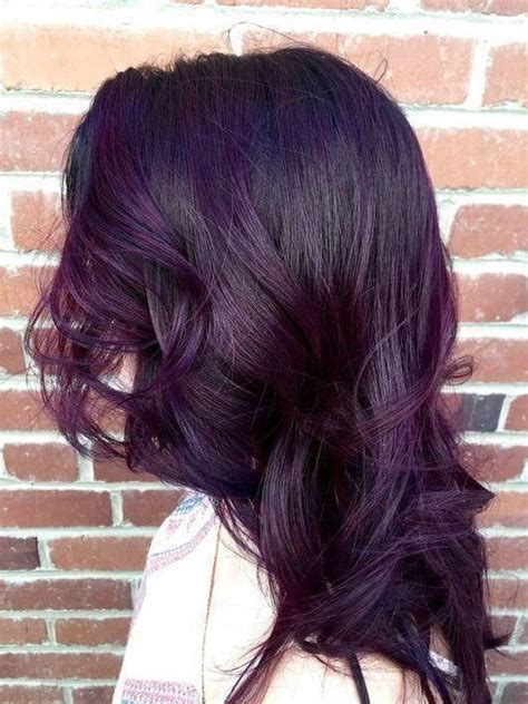 Pin By Isabela F Trindade On Hair Colours Dark Purple Hair Color
