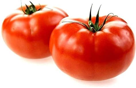 50 Marglobe Tomato Vegetable Garden Seeds Planting Tomatoes Other