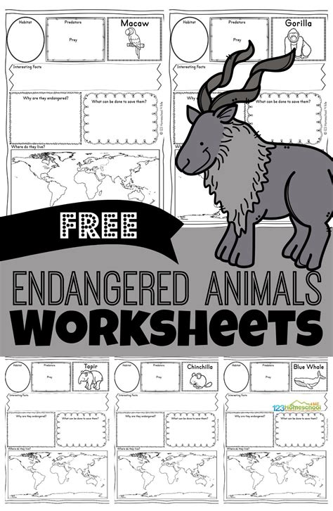 Coloring Pages Of Endangered Animals
