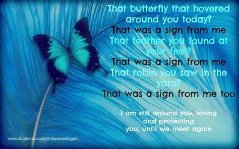 Grief Quotes With Butterflies Quotesgram