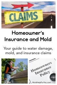 So, what should you do when you find mold, fungus or bacteria in your. Does Homeowner's Insurance Cover Mold? | Mold Help For You