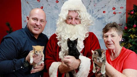 All of them are verified and tested today! Adopt Me Kittens Santa Paws Christmas fundraiser photos ...