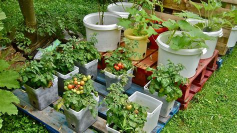 4 Best Diy Container Gardening Projects Diy To Make