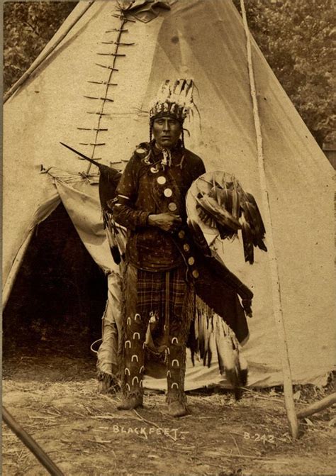 Native American Indian Pictures Blackfootblackfeet Indian Tipis