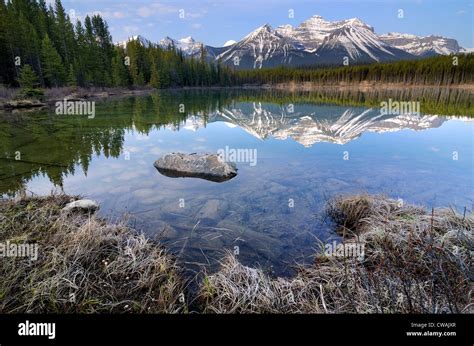 Herbert Lake And Bow Range Banff National Park Alberta Canada Stock