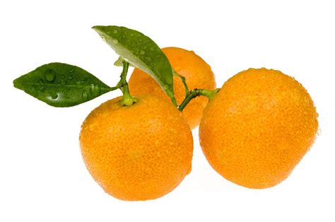 Citrus Picks For San Diego Climates The San Diego Union Tribune