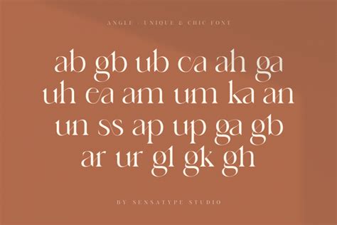 Angle Unique And Chic Font Sensatype Studio