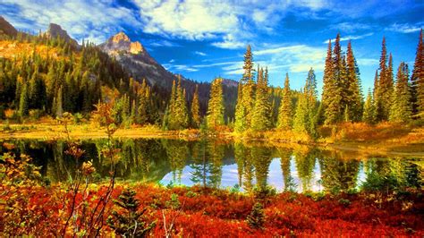 October Scenery Wallpapers Top Free October Scenery Backgrounds