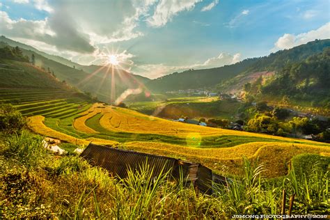 Mu Cang Chai Golden Rice Terraced Fields In Vietnam — Steemit
