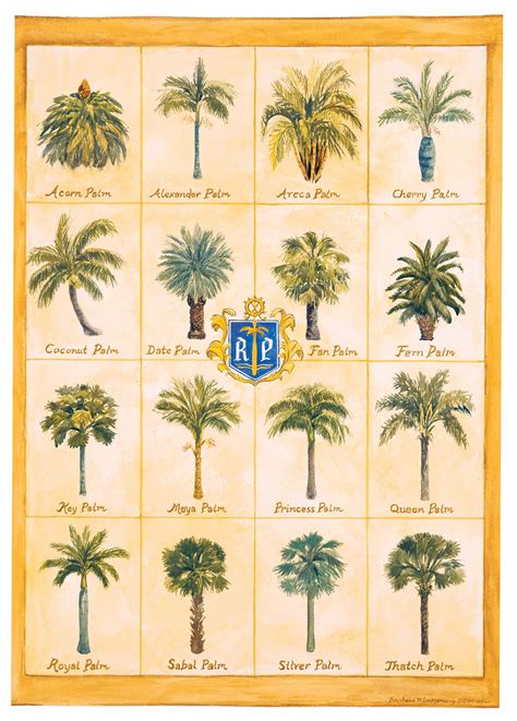 Royalpalmproperties Royalpalm Streetsofrpycc The 16 Palm Trees That